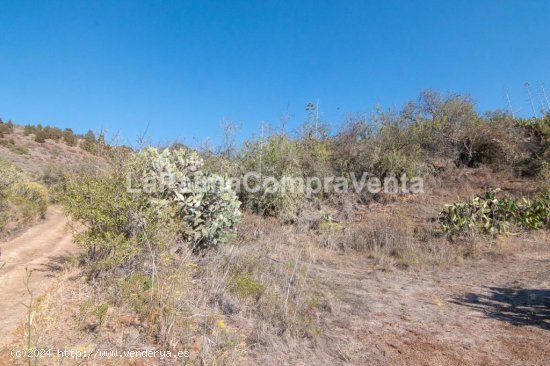 Suelo rústico en Venta en Puntagorda Santa Cruz de Tenerife