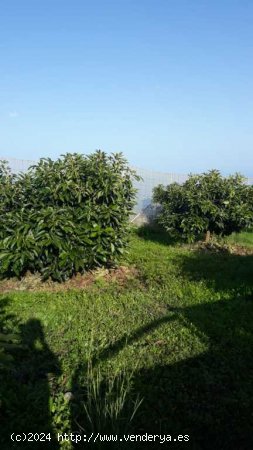 Suelo rústico en Venta en Villa De Mazo Santa Cruz de Tenerife