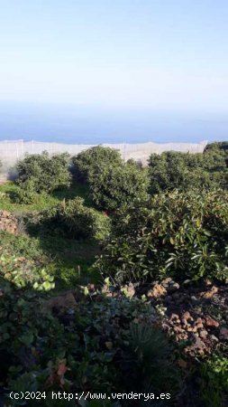 Suelo rústico en Venta en Villa De Mazo Santa Cruz de Tenerife