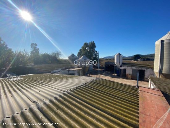 Granja en pleno funcionamiento cerca de Torreblanca