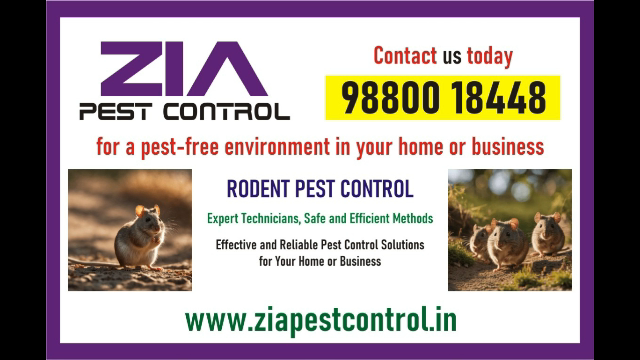  Zia Pest Control | Rodent Control | Rodent  Treatment | 1961 | Satisfaction