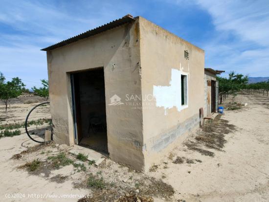 SE VENDE PARCELA PLANTADA DE ALMENDROS CON CASITA Y AGUA DE RIEGO - ALICANTE