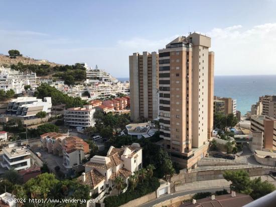 Amplio apartamento en la playa Poniente - ALICANTE