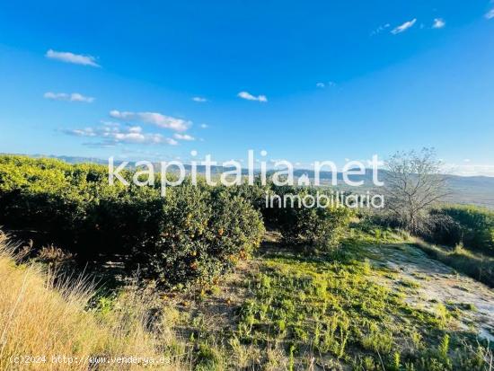 Terreno rustico con vistas despejadas. - VALENCIA