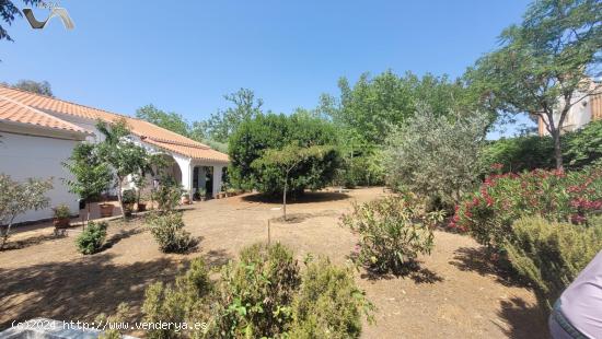  Se Vende en Puertollano - CIUDAD REAL 