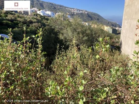 TERRENO URBANO EN ICOD DE LOS VINOS - SANTA CRUZ DE TENERIFE