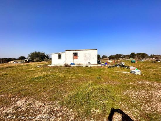 PARCELA CON CASA EN MANANTIO - BADAJOZ