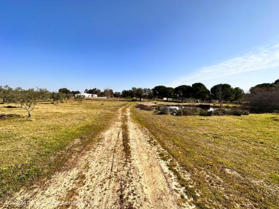 PARCELA CON CASA EN MANANTIO - BADAJOZ