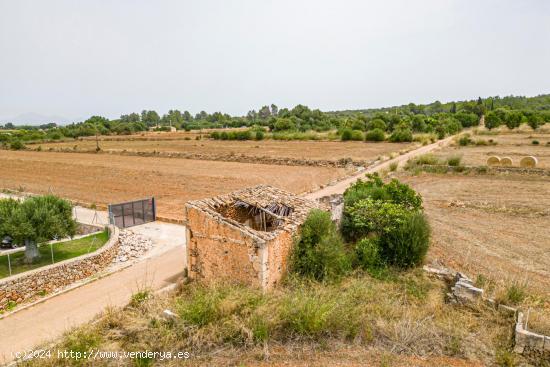 Finca Rustica con Agua y Luz en Muro - BALEARES