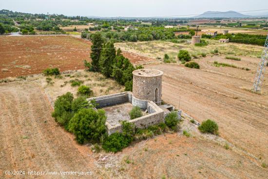 Finca Rustica con Agua y Luz en Muro - BALEARES