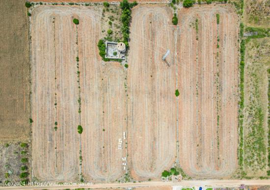 Finca Rustica con Agua y Luz en Muro - BALEARES