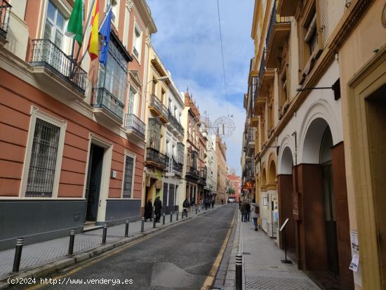  EDIFICIO EN VENTA JUNTO A LA PLAZA DEL DUQUE CON PATIO Y JARDÍN - SEVILLA 