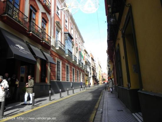 EDIFICIO EN VENTA JUNTO A LA PLAZA DEL DUQUE CON PATIO Y JARDÍN - SEVILLA