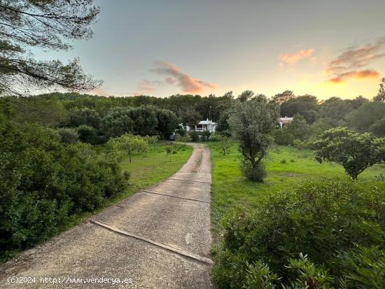  M-8263 Casa de campo en Es Mercadal - BALEARES 