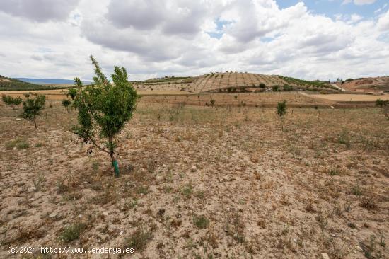 TERRENO EN CHIMENEAS CON ALTA RENTABILIDAD. - GRANADA