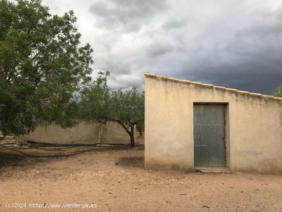  finca rustica con casa de campo y balsa, con agua - TARRAGONA 