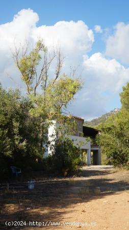 Casa de campo en alquiler a 3.5 Km del nucleo urbano de Calvià - BALEARES