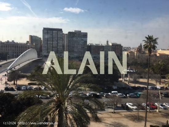  Paseo de la Alameda Valencia - VALENCIA 