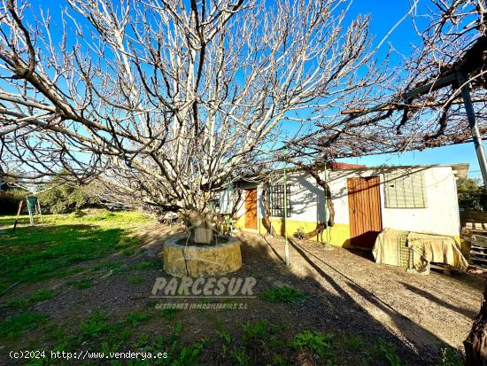 ZONA HIGUERON - Parcela con salon, trastero y baño con agua potable y alcantarillado. - CORDOBA