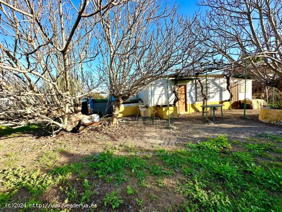 ZONA HIGUERON - Parcela con salon, trastero y baño con agua potable y alcantarillado. - CORDOBA