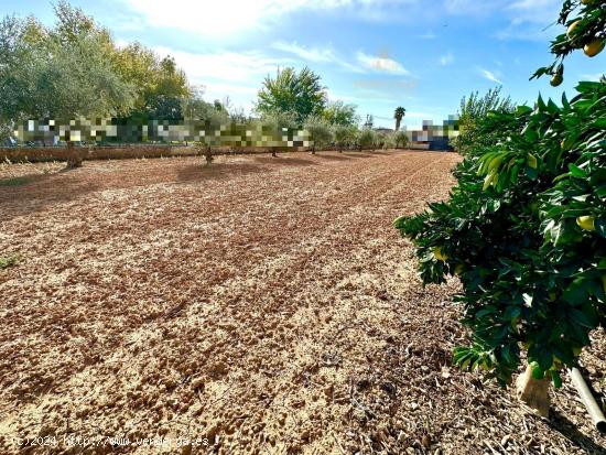 PRECIOSA PARCELA EN ZONA VILLARRUBIA - CORDOBA