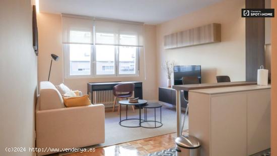 Apartamento entero de 1 habitaciones en Madrid - MADRID