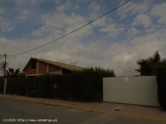 Terreno Urbano - Ceutí, Murcia - MURCIA