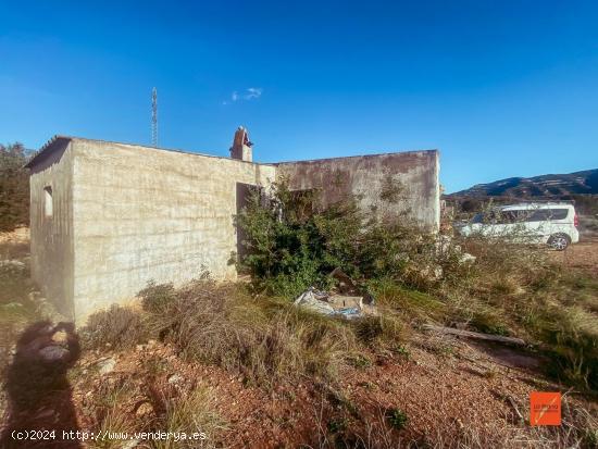 FINCA RUSTICA CON CASETA EN VENTA EN FREGINALS (TARRAGONA) - TARRAGONA