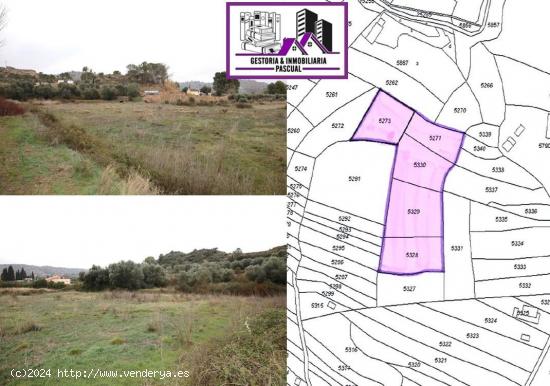  TERRENO EN VENTA EN ALCAÑIZ. Ref.TR01132023 - TERUEL 