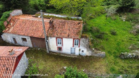 CASA A REFORMAR A 2 KM DE LA PLAYA DE GUADAMIA - ASTURIAS