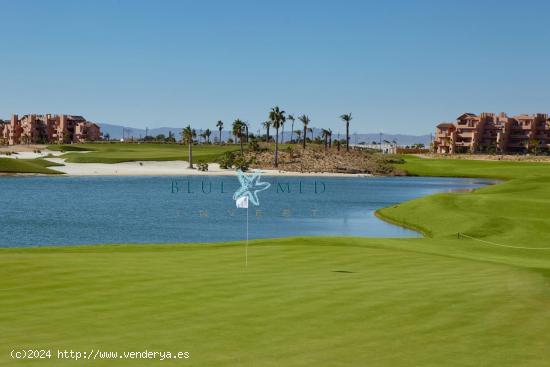 Apartamentos amueblados e equipados, mirando al golf. - MURCIA