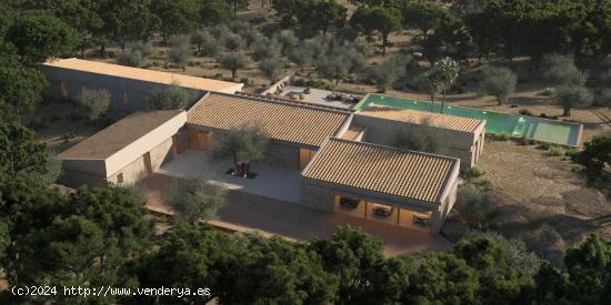 FINCA RUSTICA EN SA POBLA CON LICENCIA Y PROYECTO DE OBRA - BALEARES