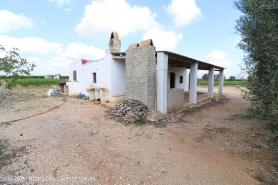 Casa rústica con terreno de naranjos - CASTELLON