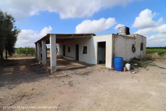 Casa rústica con terreno de naranjos - CASTELLON