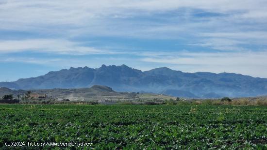 Se Vende en Garrucha - ALMERIA