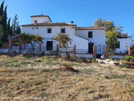  Casa de campo-Masía en Venta en Ronda Málaga 