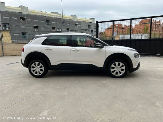 Citroën C4 Cactus BlueHDi 74KW (100CV) S&S Feel - Parla