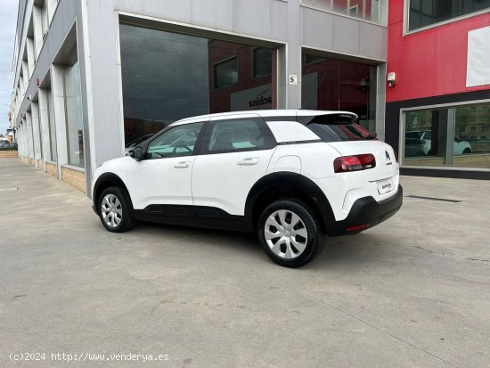 Citroën C4 Cactus BlueHDi 74KW (100CV) S&S Feel - Parla