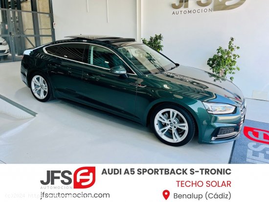  Audi A5 Sportback  2.0 TDI 150 CV S-TRONIC S-LINE - Benalup 