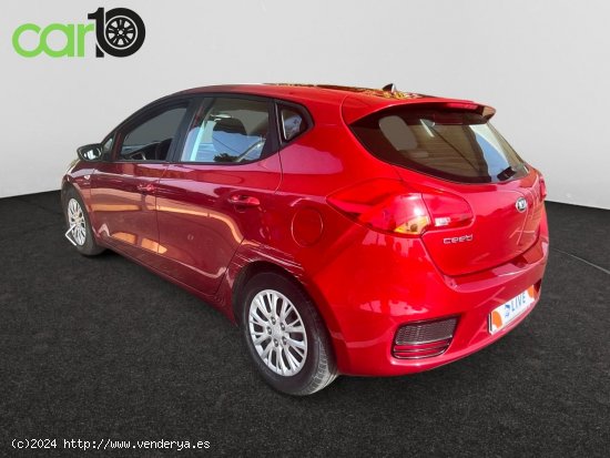 Kia Ceed 1.4 CVVT Concept - Toledo