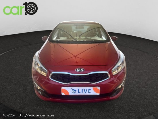 Kia Ceed 1.4 CVVT Concept - Toledo