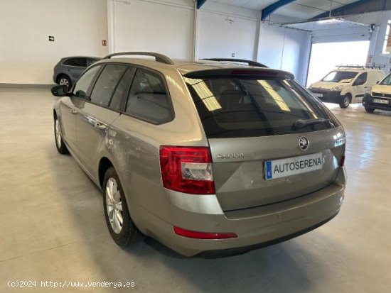 SKODA Octavia en venta en Castuera (Badajoz) - Castuera