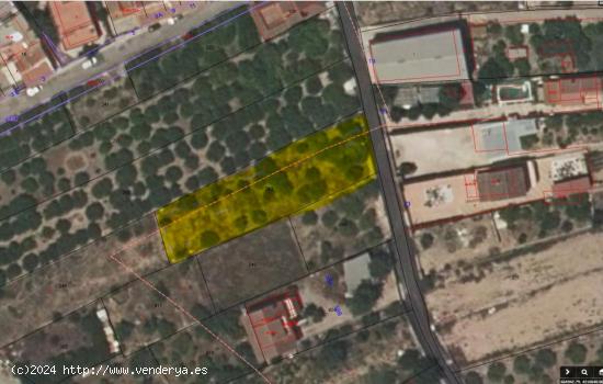  SE VENDE TERRENO RUSTICO EN CABEZO DE TORRES - MURCIA 