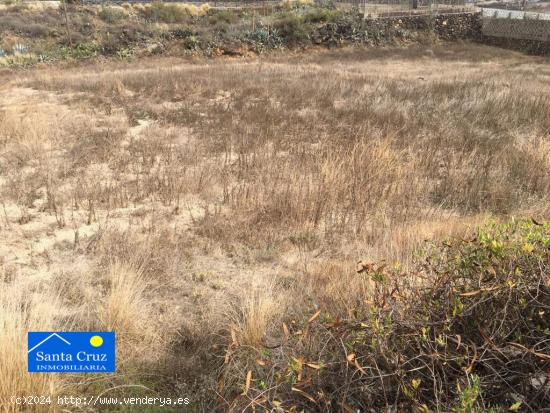 Terreno en venta Buzanada. - SANTA CRUZ DE TENERIFE