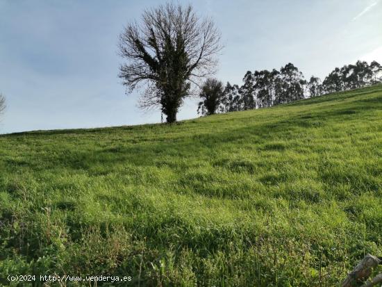  Terreno rustico en Santa Maria de Cayon - CANTABRIA 