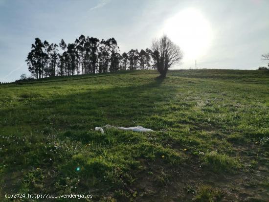 Terreno rustico en Santa Maria de Cayon - CANTABRIA