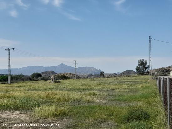 PARCELA  RUSTICA EN ALICANTE . LA ALCORAYA (LAS INDIAS ) - ALICANTE