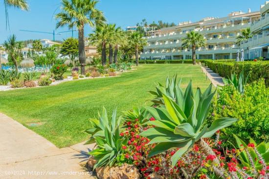 Impresionante apartamento de esquina en planta baja - MALAGA