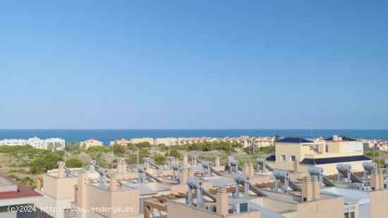 CHALETS ADOSADOS DE OBRA NUEVA EN GUARDAMAR DEL SEGURA - ALICANTE