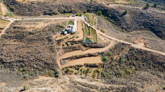 Finca  Rústica en Arico con acciones de agua. - SANTA CRUZ DE TENERIFE